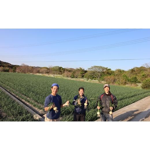 ふるさと納税 野菜類 玉ねぎ 兵庫県 洲本市 淡路島産玉ねぎ 10kg 野菜 淡路島産 玉ねぎ 玉葱 善太 兵庫県 洲本市 淡路島 No.5395-0327の画像