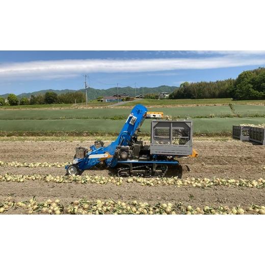 ふるさと納税 野菜類 玉ねぎ 兵庫県 洲本市 淡路島産玉ねぎ 18kg 野菜 淡路島産 玉ねぎ 玉葱 善太 兵庫県 洲本市 淡路島 No.5395-0328の画像