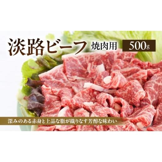 ふるさと納税 牛肉 焼肉・バーベキュー 兵庫県 洲本市 淡路ビーフ 焼肉用 500g 250g × 2p 肉 お肉 牛肉 焼肉 BBQ 兵庫県 洲本市 淡路島  