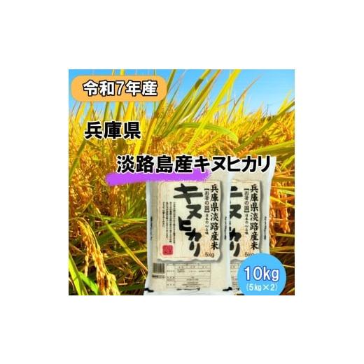 ふるさと納税 米 兵庫県 洲本市 令和7年産 兵庫県淡路島産米 キヌヒカリ 10kg(5kg×2) 兵庫県 洲本市 淡路島  