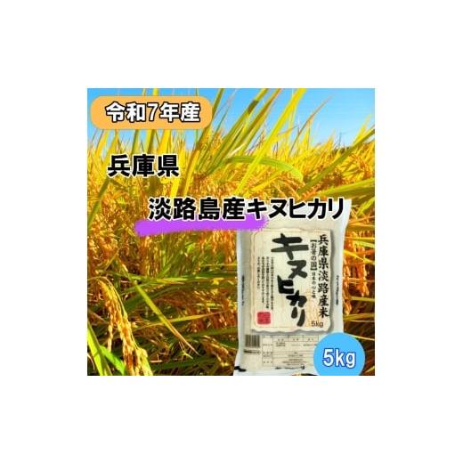 ふるさと納税 米 兵庫県 洲本市 令和7年産 兵庫県淡路島産米 キヌヒカリ 5kg 兵庫県 洲本市 淡路島  