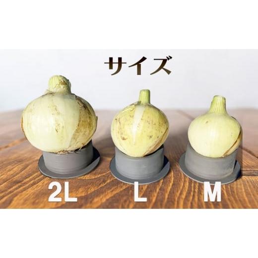 ふるさと納税 野菜類 玉ねぎ 兵庫県 洲本市 淡路島産 新玉ねぎ 3kg う 淡路島産 新玉ねぎ