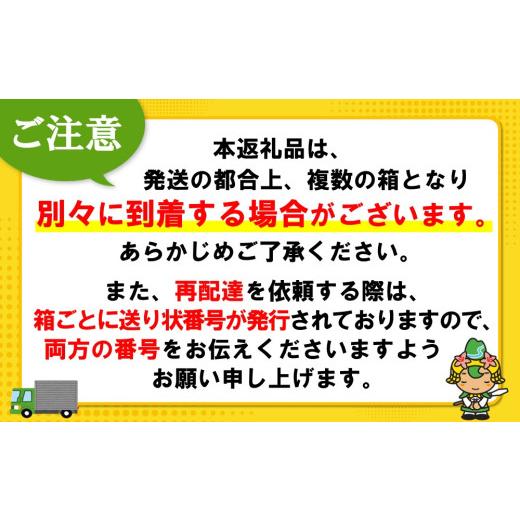 ふるさと納税 水・ミネラルウォーター 500mL〜999mL 佐賀県 基山町 アクエリアス 500mlPET (2ケース) 計48本 コカコーラ 熱中症対策 スポーツ飲料 スポーツド…の画像