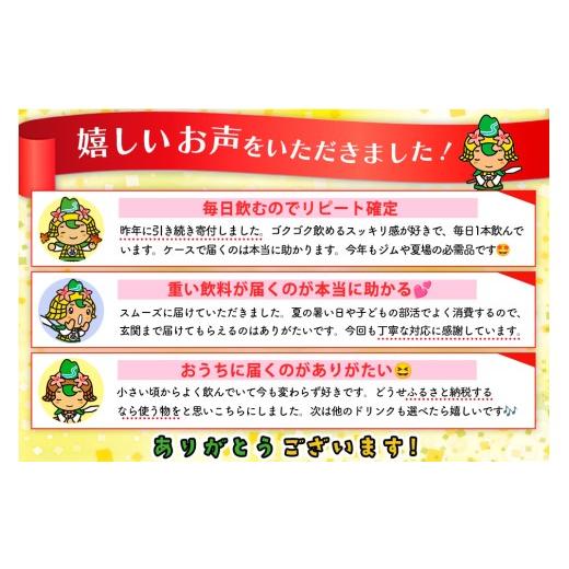 ふるさと納税 水・ミネラルウォーター 500mL〜999mL 佐賀県 基山町 アクエリアス 500mlPET (2ケース) 計48本 コカコーラ 熱中症対策 スポーツ飲料 スポーツド…の画像
