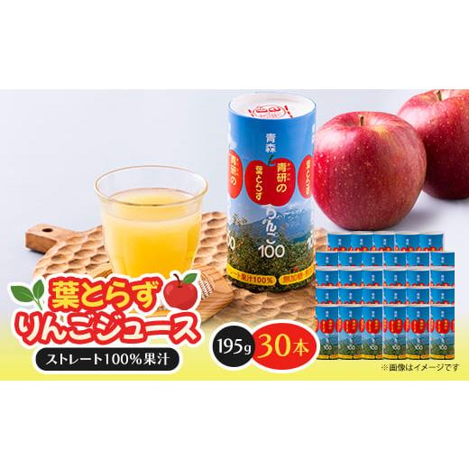 ふるさと納税 果汁飲料 りんご 青森県 - 葉とらずりんごジュース 195g×30本入り 1657595