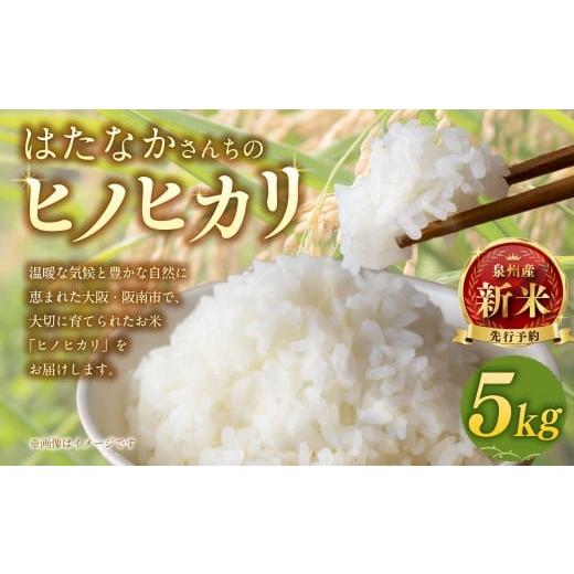 ふるさと納税 米 ヒノヒカリ 大阪府 阪南市 10月末まで [令和7年産] はたなかさんち 泉州産 ヒノヒカリ 5kg×1袋 2025年11月上旬ー12月下旬発送予定 お米 …