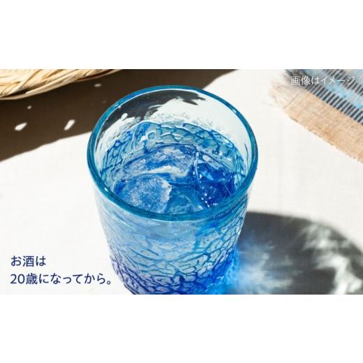 ふるさと納税 泡盛 沖縄県 沖縄市  全6回定期便 琉球泡盛 琉球パック 30度 1800ml×2 セット 泡盛 焼酎 地酒 お酒 ギフト 父の日 沖縄市 ／ 新里酒造株式会社 …_2