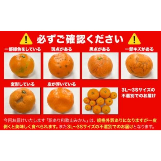ふるさと納税 果物類 みかん 和歌山県 日高川町  先行予約 和歌山育ちの 訳あり 濃厚みかん(3S〜3L) 約5kg 《11月上旬-12月末頃に発送(土日祝を除く)》和歌山… |  | 09