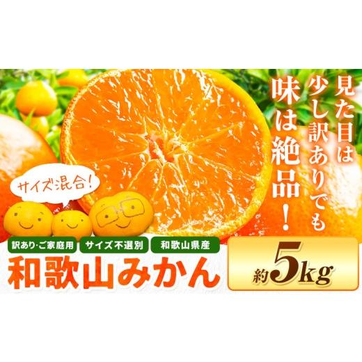 ふるさと納税 果物類 みかん 和歌山県 日高川町  先行予約 和歌山育ちの 訳あり 濃厚みかん(3S〜3L) 約5kg 《11月上旬-12月末頃に発送(土日祝を除く)》和歌山… |  | 01