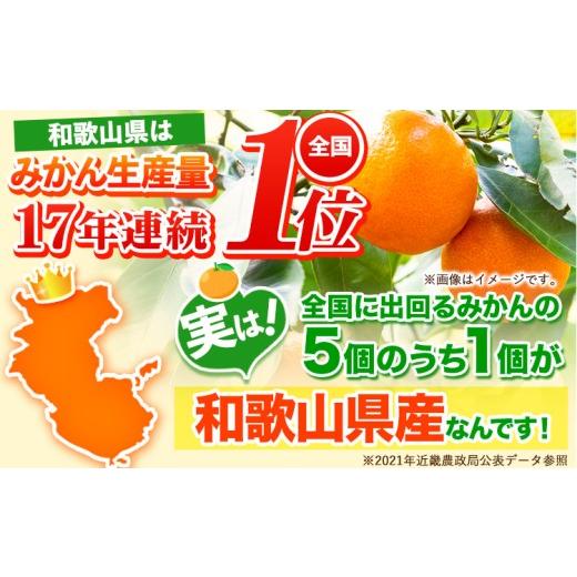 ふるさと納税 果物類 みかん 和歌山県 日高川町  先行予約 和歌山育ちの 訳あり 濃厚みかん(3S〜3L) 約5kg 《11月上旬-12月末頃に発送(土日祝を除く)》和歌山… |  | 03
