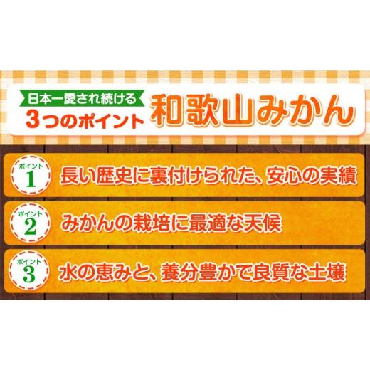 ふるさと納税 果物類 みかん 和歌山県 日高川町  先行予約 和歌山育ちの 訳あり 濃厚みかん(3S〜3L) 約5kg 《11月上旬-12月末頃に発送(土日祝を除く)》和歌山… |  | 04