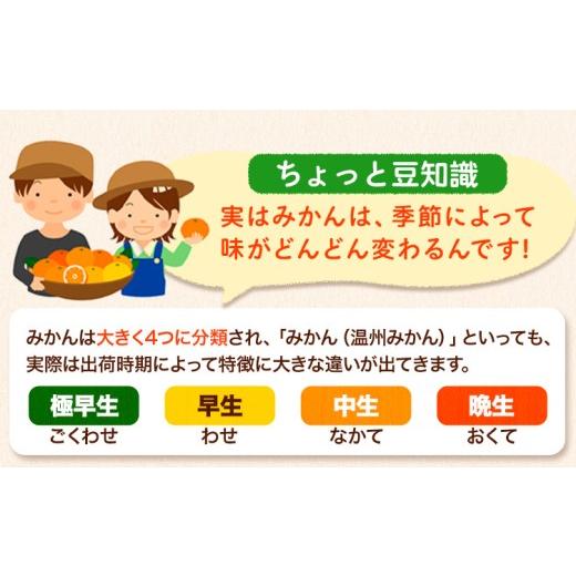 ふるさと納税 果物類 みかん 和歌山県 日高川町  先行予約 和歌山育ちの 訳あり 濃厚みかん(3S〜3L) 約5kg 《11月上旬-12月末頃に発送(土日祝を除く)》和歌山… |  | 05