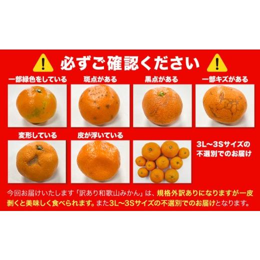 ふるさと納税 果物類 みかん 和歌山県 日高川町  先行予約 和歌山育ちの 訳あり 濃厚みかん(3S〜3L) 約5kg 《11月上旬-12月末頃に発送(土日祝を除く)》和歌山… |  | 06