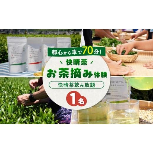 ふるさと納税 体験チケット 神奈川県 開成町 ランチなし 「快晴茶」お茶摘み体験チケット