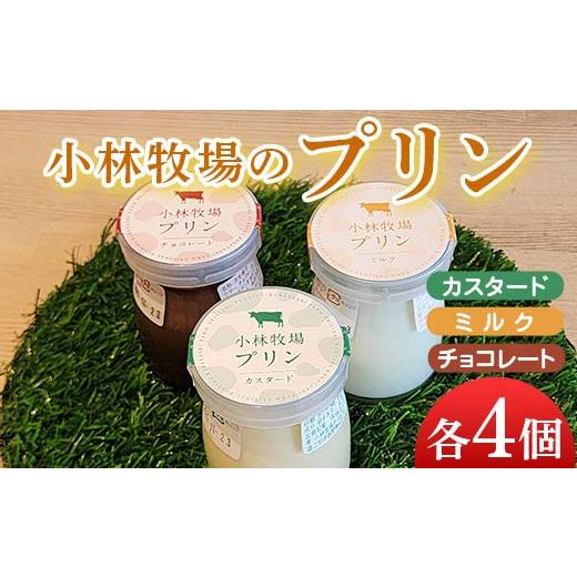 ふるさと納税 菓子 プリン 北海道 江別市 小林牧場プリン カスタード、ミルク、チョコレート 各４個 EB8-0461の画像
