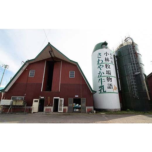 ふるさと納税 菓子 プリン 北海道 江別市 小林牧場プリン カスタード、ミルク、チョコレート 各４個 EB8-0461の画像