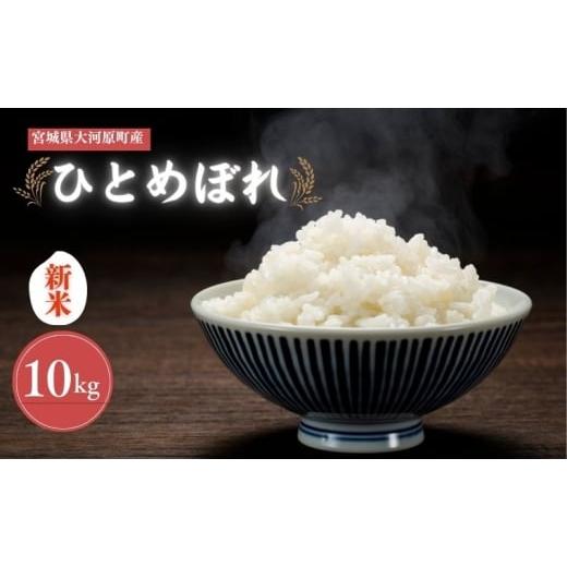 ふるさと納税 米 ひとめぼれ 宮城県 大河原町 令和7年産 宮城県大河原町産 ひとめぼれ 10kg 米 お米 精米 白米 令和7年 宮城県産