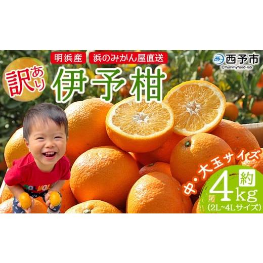 ふるさと納税 みかん・柑橘類 愛媛県 西予市 訳あり 伊予柑 約4kg 浜のみかん屋 直送 中 大玉 2L〜4L ワケアリ イヨカン いよかん 家庭用 果物 フルーツ おい…