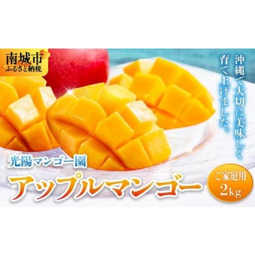 ふるさと納税 マンゴー 沖縄県 南城市 先行予約・数量限定 アップルマンゴー ご家庭用(2kg)|マンゴー 限定 家庭用 訳あり 沖縄県 南城市 2kg 冷蔵 予約 先…