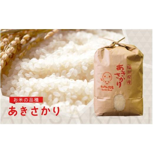 ふるさと納税 米 福井県 坂井市  数量限定 令和7年産 6ヶ月連続お届け あきさかり 5kg × 6回 計30kg (無洗米) 〜福井県産 生産者直送 〜 お米 米 ご飯 福井県…の画像