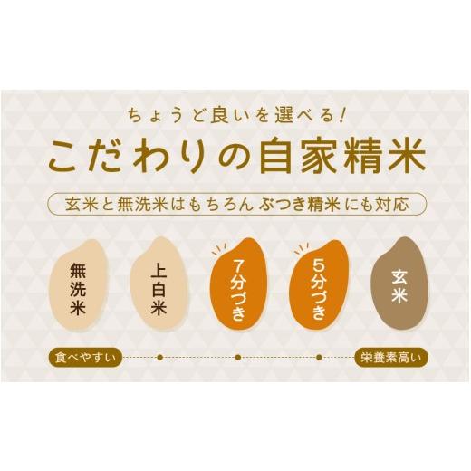 ふるさと納税 米 福井県 坂井市  数量限定 令和7年産 6ヶ月連続お届け あきさかり 5kg × 6回 計30kg (無洗米) 〜福井県産 生産者直送 〜 お米 米 ご飯 福井県…の画像