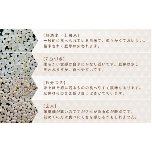 ふるさと納税 米 福井県 坂井市  数量限定 令和7年産 6ヶ月連続お届け あきさかり 5kg × 6回 計30kg (無洗米) 〜福井県産 生産者直送 〜 お米 米 ご飯 福井県…の画像