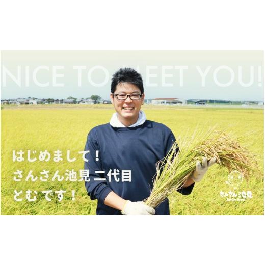 ふるさと納税 米 福井県 坂井市  数量限定 令和7年産 6ヶ月連続お届け あきさかり 5kg × 6回 計30kg (無洗米) 〜福井県産 生産者直送 〜 お米 米 ご飯 福井県…の画像