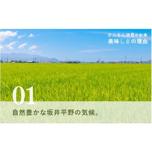 ふるさと納税 米 福井県 坂井市  数量限定 令和7年産 6ヶ月連続お届け あきさかり 5kg × 6回 計30kg (無洗米) 〜福井県産 生産者直送 〜 お米 米 ご飯 福井県…の画像