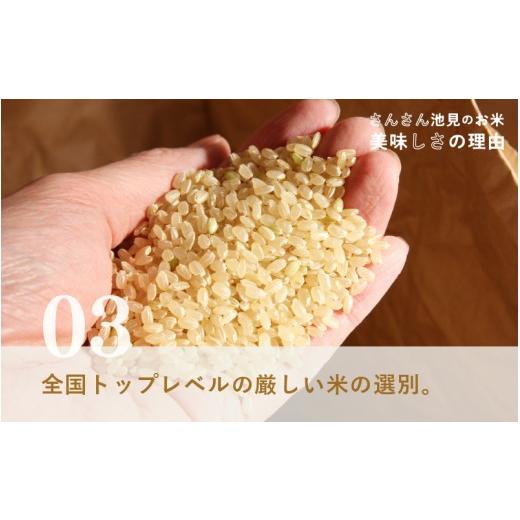 ふるさと納税 米 福井県 坂井市  数量限定 令和7年産 6ヶ月連続お届け あきさかり 5kg × 6回 計30kg (無洗米) 〜福井県産 生産者直送 〜 お米 米 ご飯 福井県…の画像