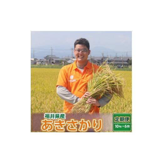 ふるさと納税 米 福井県 坂井市 数量限定 令和7年産 定期便 6ヶ月連続お届け あきさかり 10kg × 6回 〜坂井市三国町産・こだわりの精米対応〜[無洗米]お米…