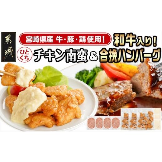 ふるさと納税 肉 ハンバーグ 宮崎県 都城市 一口チキン南蛮&amp;和牛入り合挽ハンバーグセット (都城市)