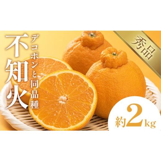 ふるさと納税 みかん・柑橘類 熊本県 荒尾市 不知火 デコポン 同品種 約2k 日本フルーツ株式会社 熊本県 荒尾市 [1月下旬-2月末頃出荷予定] デコポン 果物 …