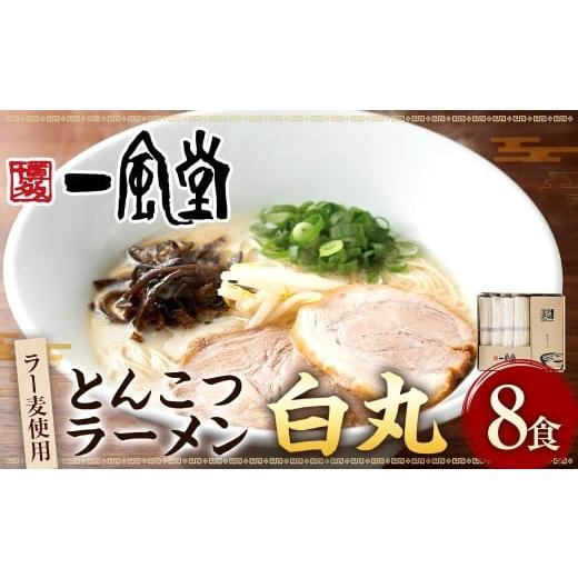 ふるさと納税 ラーメン とんこつ 福岡県 太宰府市 ラー麦使用 「一風堂」 とんこつラーメン 白丸 (8食) 豚骨ラーメン とんこつ トン骨 麺 拉麺 らーめん 細…