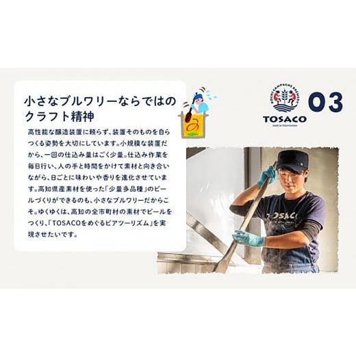 ふるさと納税 ビール 地ビール 高知県 香美市 高知のクラフトビール「TOSACO24本セット」の画像