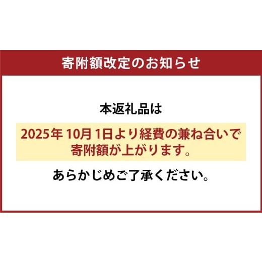 ふるさと納税 ビール 地ビール 高知県 香美市 高知のクラフトビール「TOSACO24本セット」の画像