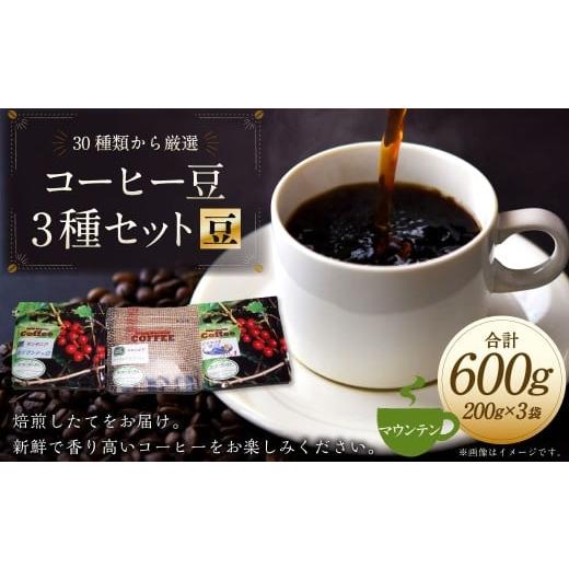 ふるさと納税 コーヒー コーヒー豆 岐阜県 美濃加茂市 コーヒー豆 3種類 セット 豆 (マウンテンセット) 珈琲 コーヒー マウンテン 厳選 岐阜県 美濃加茂市