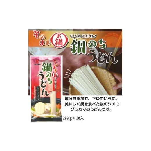 ふるさと納税 うどん 生・半生めん 宮城県 - 鍋のちうどん 200g×20 1626237