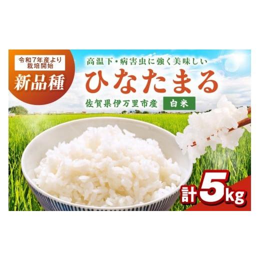 ふるさと納税 米 佐賀県 伊万里市 伊万里産米 ひなたまる 白米5Kg