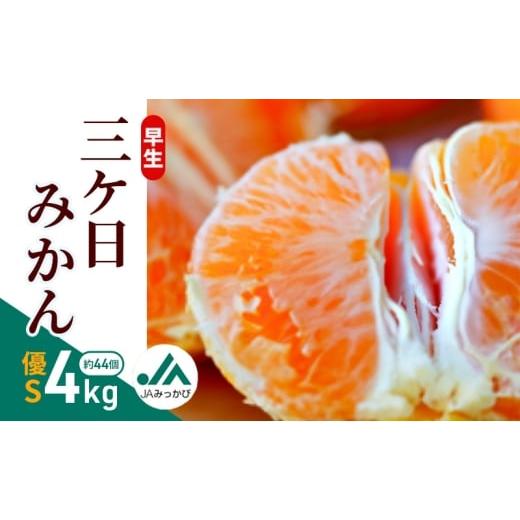 ふるさと納税 果物類 みかん 静岡県 浜松市 早生三ケ日みかん 優S 4kg (約44個)みかん ミカン フルーツ 果物 くだもの 機能性表示食品 浜松市  