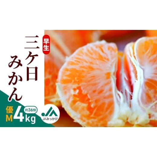 ふるさと納税 果物類 みかん 静岡県 浜松市 早生三ケ日みかん 優M 4kg (約36個)みかん ミカン フルーツ 果物 くだもの 機能性表示食品 浜松市  