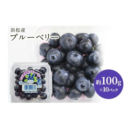 ふるさと納税 ぶどう 静岡県 浜松市 浜松市産 ブルーベリー 約100g×10パック 計約1kg 甘酸っぱい アントシアニン 食物繊維 ビタミン ミネラル 抗酸化作用 腸…