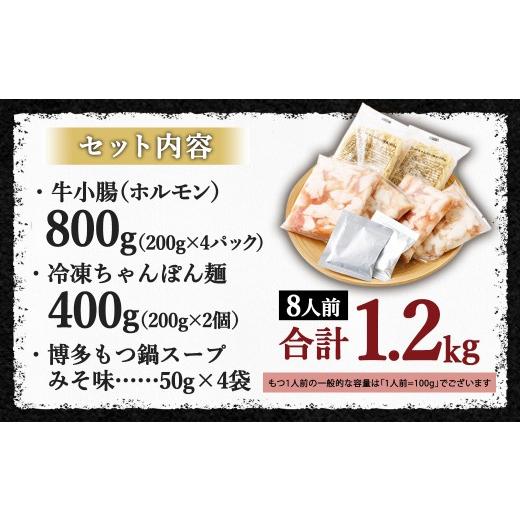 ふるさと納税 モツ鍋 福岡県 太宰府市 国産牛もつ鍋 8人前 ごった交ぜ 凝集吸いもの付 （みそ味） もつ鍋 モツ鍋 モツ 牛もつ 仕かける 麺付き添い人 未醤味 みそ味 グル…