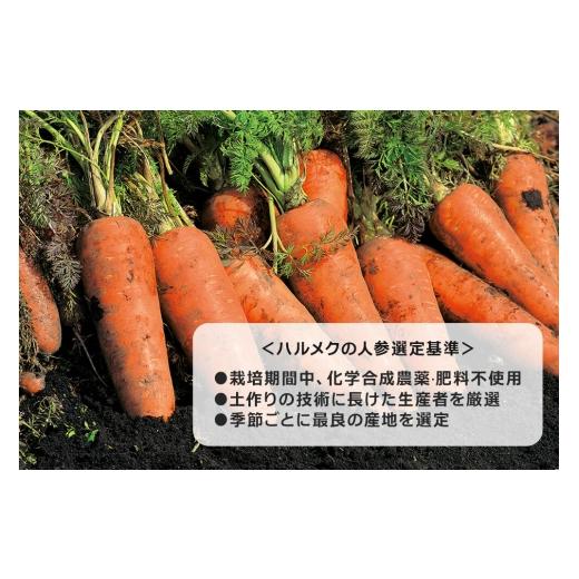 ふるさと納税 果汁飲料 にんじん 青森県 弘前市 《定期便9ヶ月》ハルメク 人参ジュース 缶 190g×30本 野菜ジュース にんじんジュース 人参ジュース りんご果…の画像