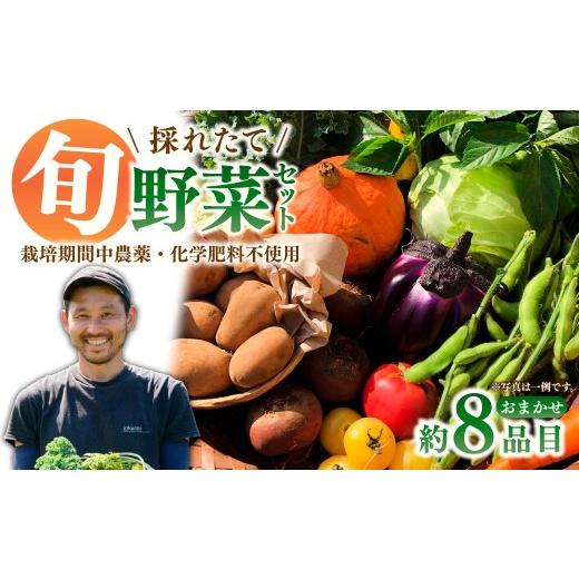 ふるさと納税 セット・詰合せ 埼玉県 所沢市 採れたて福bio旬野菜セット (約8品目) | 野菜 野菜詰め合わせ 野菜セット 詰め合わせ 詰合せ セット 産地直送 福b…の画像
