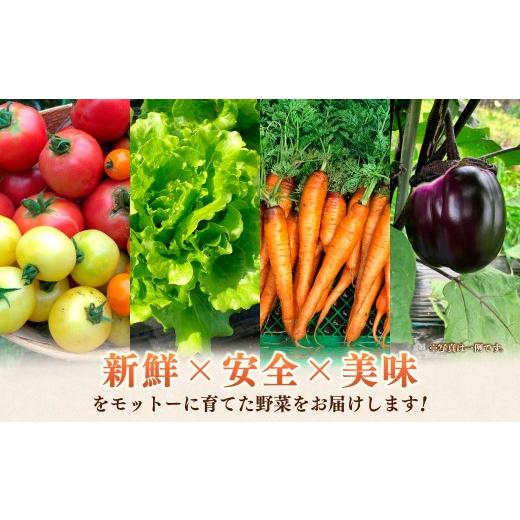 ふるさと納税 セット・詰合せ 埼玉県 所沢市 採れたて福bio旬野菜セット (約8品目) | 野菜 野菜詰め合わせ 野菜セット 詰め合わせ 詰合せ セット 産地直送 福b…の画像