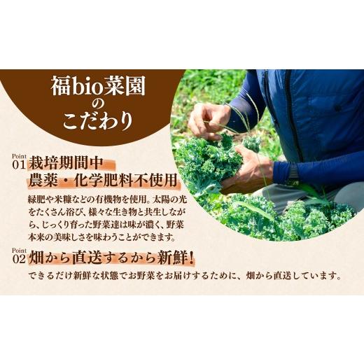 ふるさと納税 セット・詰合せ 埼玉県 所沢市 採れたて福bio旬野菜セット (約8品目) | 野菜 野菜詰め合わせ 野菜セット 詰め合わせ 詰合せ セット 産地直送 福b…の画像