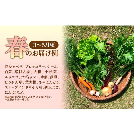 ふるさと納税 セット・詰合せ 埼玉県 所沢市 採れたて福bio旬野菜セット (約8品目) | 野菜 野菜詰め合わせ 野菜セット 詰め合わせ 詰合せ セット 産地直送 福b…の画像
