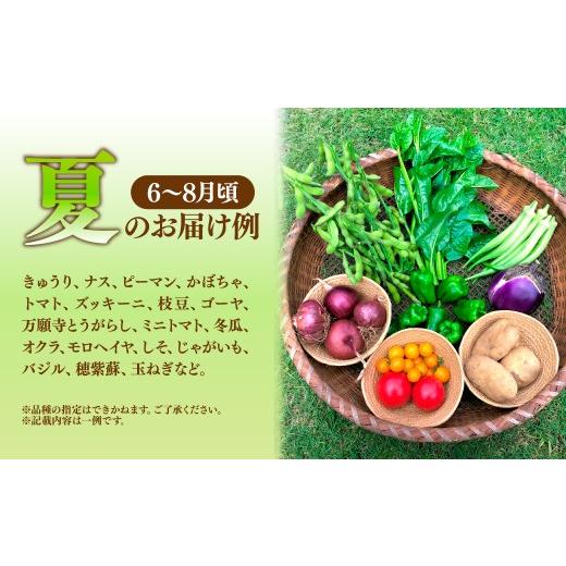 ふるさと納税 セット・詰合せ 埼玉県 所沢市 採れたて福bio旬野菜セット (約8品目) | 野菜 野菜詰め合わせ 野菜セット 詰め合わせ 詰合せ セット 産地直送 福b…の画像
