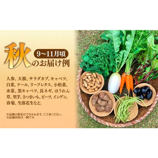 ふるさと納税 セット・詰合せ 埼玉県 所沢市 採れたて福bio旬野菜セット (約8品目) | 野菜 野菜詰め合わせ 野菜セット 詰め合わせ 詰合せ セット 産地直送 福b…の画像