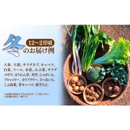ふるさと納税 セット・詰合せ 埼玉県 所沢市 採れたて福bio旬野菜セット (約8品目) | 野菜 野菜詰め合わせ 野菜セット 詰め合わせ 詰合せ セット 産地直送 福b…の画像